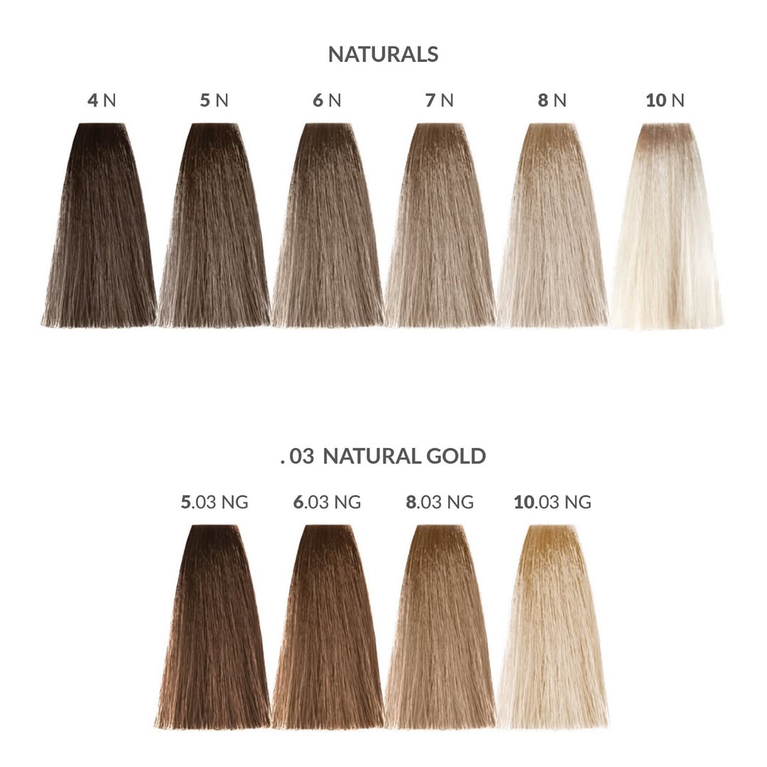 Tabla de muestras del tóner brillante Charcolite